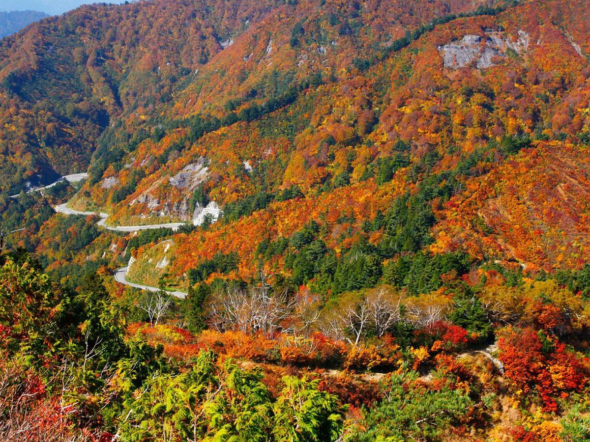 Ichirino Kogen Hotel Roan Hakusan Exterior foto